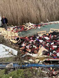 Isparta Eğirdir’de elma yüklü tır kanala devrildi : Sürücü yaralandı