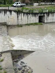 Ordu'da dereye düşen 9 yaşındaki çocuk, vatandaşlar tarafından kurtarıldı