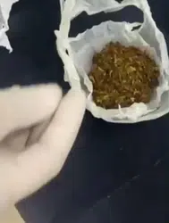 Sakarya'da uyuşturucu operasyonu : 6 şahıs tutuklandı