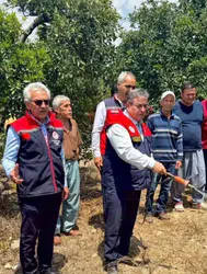 Mersin'de Akdeniz meyve sineğine karşı mücadele