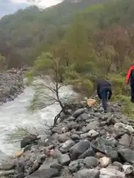Muş'ta köprüden düşen 50 yaşındaki kadın akıntıya kapıldı
