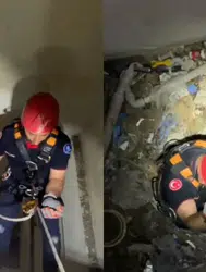 Kocaeli'de apartman boşluğuna martı düştü