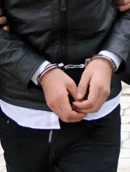 Antalya'da uyuşturucu operasyonunda 34 kilo skunk ele geçirildi