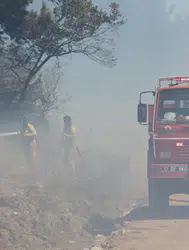 Çanakkale'de orman yangını