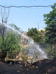 Siirt'te iş makinesinden çıkan kıvılcım otluk alanda yangına neden oldu