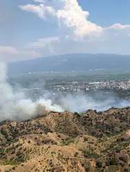 Aydın Nazilli'de zirai alanda yangın çıktı