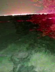 Şanlıurfa'da buğday tarlasında çıkan yangınla ilgili bir şüpheli gözaltına alındı