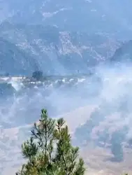 Kahramanmaraş'ta bahçe yangını : Ekipler tarafından kontrol altına alındı