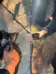 Çankırı'da metruk binada yangın çıktı : Mahsur kalan 3 yavru kedi kurtarıldı