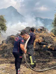 Osmaniye’de bahçedeki binden fazla saman balyaları yandı : 15 zeytin fidanı zarar gördü