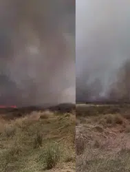 Denizli Acıpayam'da tarlada yangın çıktı
