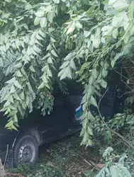 Samsun'da direksiyon başında kalp krizi geçiren sürücü kaza yaptı, hastanede öldü