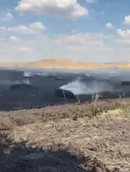 Yozgat'ta otluk alanda çıkan yangın buğday tarlalarına sıçradı