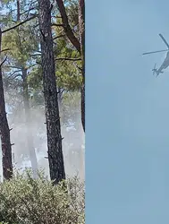 İzmir Bayındır'daki orman yangını kontrol altına alındı