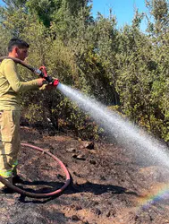 Bodrum'da makilik alanda yangın : Çevredeki evlere sıçramadan söndürüldü