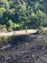 Bilecik'te otluk alanda yangın : Havadan ve karadan müdahaleyle söndürüldü