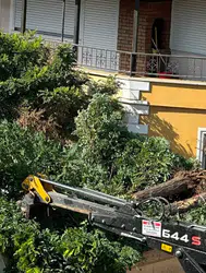 Sındırgı'da yol çalışmasında ağaçlar söküldü : Vatandaşlardan tepki