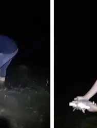 Elazığ’da oltasına takılan yavru sazanı böyle suya geri bıraktı : 'Tosun paşa ol da gel'