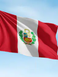 Peru Dışişleri Bakanlığı duyurdu : Rusya-Ukrayna Savaşı'nda 11 Peru vatandaşı öldü