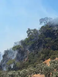 Balıkesir Germencik'teki orman yangını kontrol altına alındı