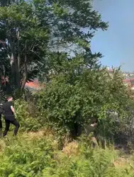 Ümraniye TEM Otoyolu'nda otluk alanda yangın