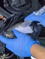Hatay'da otomobilin motorunda 522 gram uyuşturucu ele geçirildi : 2 tutuklama