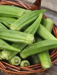 Bamyanın kilosu ne kadar ? Bamya pahalı mı ? Pazarlarda son durum ne ?