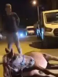Edirne'de ata şiddet uyguladıkları iddia edilen 2 şüpheli gözaltına alındı
