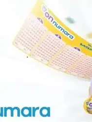 On Numara sonuçları nereden ve nasıl sorgulanır? MPİ On Numara sonuçları öğrenme ekranı