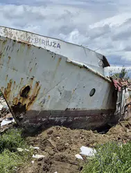 Paslı Geminin İçinden Yükselen Orman: SS Ayrfield'in Hikayesi Nedir?