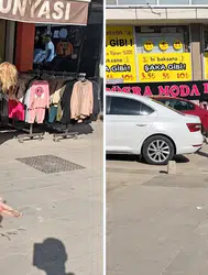 Esenyurt'ta Pitbull dehşeti: Sahibi gözaltına alındı