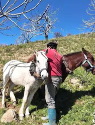 Germencik'te Günlük 8 Bin TL'ye İşçi Bulunamıyor