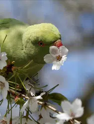 Mart ekinoksu ne zaman gerçekleşiyor ve bu doğa olayı ne anlama geliyor?