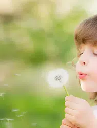 Bahar Alerjisi (Alerjik Rinit) ile Nasıl Baş Edilir? Uzmanından Öneriler