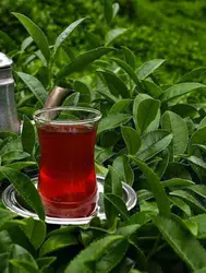 Paket çay fiyatlarında büyük artışlar yaşanıyor: Tüketici ne yapmalı?