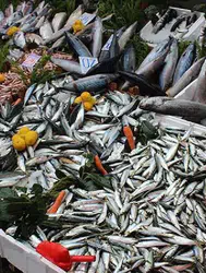 Türklerin sevdiği kalkan balığı Romanya ve Bulgaristan'da yasaklandı