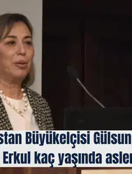 Yeni Macaristan Büyükelçisi Gülsun Erkul kimdir ve hangi görevlerde bulundu?