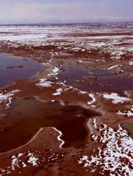 Erzincan'daki Ekşisu Mesire Alanı neden bilim dünyasının ilgi odağı haline geldi?