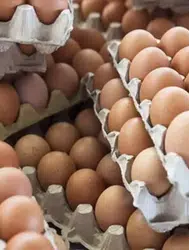 Yumurta fiyatlarında ani artış nedenleri neler olabilir?