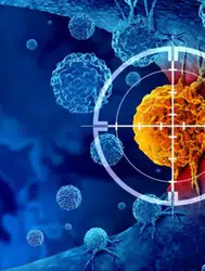 Kanserle mücadelede yeni araştırma alanı : Genomdaki küçük proteinler