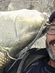 Keban’da oltaya takılan balık görenleri şaşırttı: Tam 81 kilo