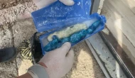 Tunceli’de dev operasyon: Uyuşturucuyu şampuan şişesinde saklamışlar!