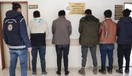 Amasya'da kaçak göçmen operasyonu: Tır şoförü kardeşler tutuklandı