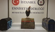 Beykoz’da horoz dövüşüne polis baskını: 21 kişi suçüstü yakalandı!
