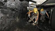 Türkiye Taşkömürü Kurumu 6 engelli işçi alımı yapacak