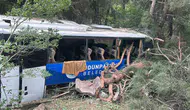 Eskişehir'de midibüs şarampole yuvarlandı: 5'i ağır 28 kişi yaralandı