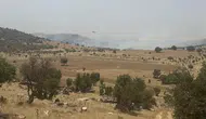Mardin'de orman yangını: Bölgeye çok sayıda ekip sevk edildi