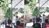 Şanlıurfa'da kurbanlık boğa kasapta dehşet saçtı: O anlar kamerada!