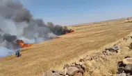 Şanlıurfa'da buğday tarlası kül oldu: 1'i ağır 5 yaralı