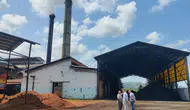 Çay bahçelerindeki tozun kaynağı tartışma yarattı: ÇAYKUR fabrikası inceleme altında!